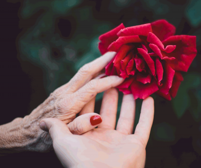 Older hand and child's hand holding a rose.